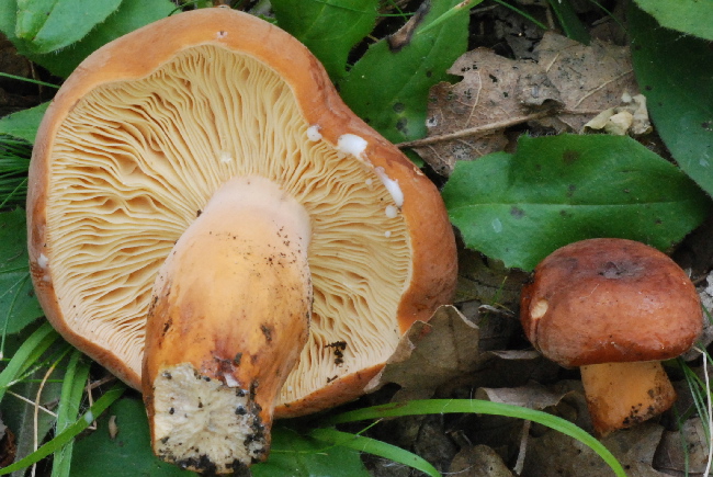 Uscita del 18 Cima di Tuoro (PG)